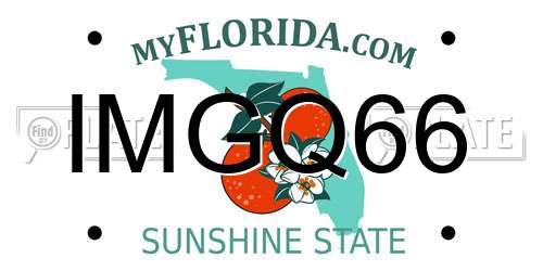 IMGQ66 Florida License Plate