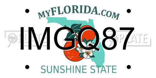 IMGQ87 Florida License Plate