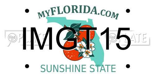 IMGT15 Florida License Plate