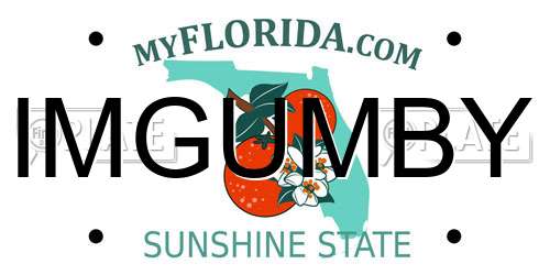 IMGUMBY Florida License Plate