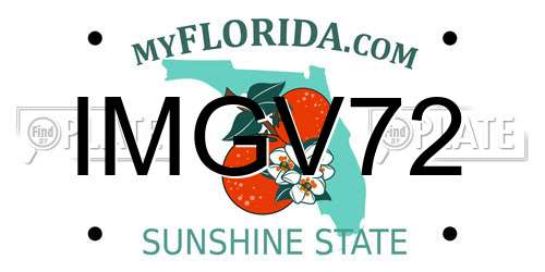 IMGV72 Florida License Plate
