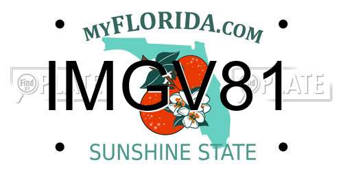 IMGV81 Florida License Plate