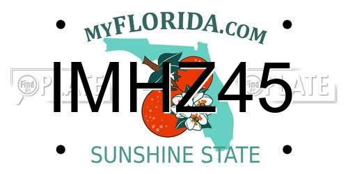 IMHZ45 Florida License Plate