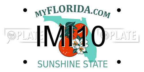 IMI10 Florida License Plate
