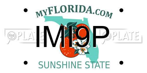 IMI9P Florida License Plate