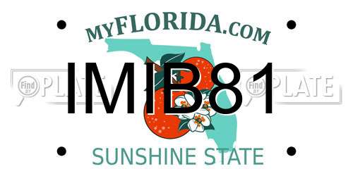 IMIB81 Florida License Plate