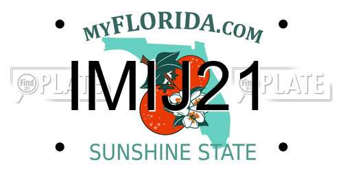 IMIJ21 Florida License Plate