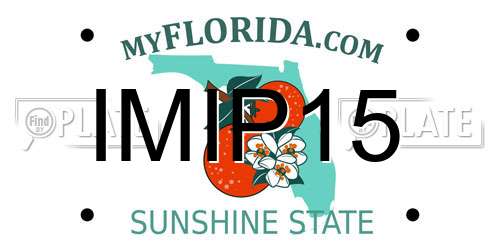 IMIP15 Florida License Plate