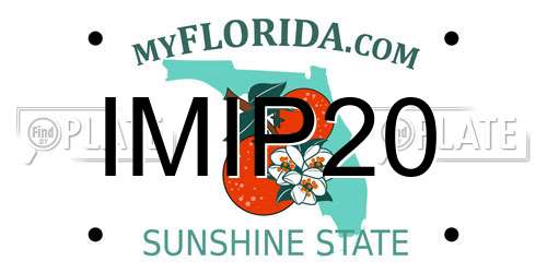 IMIP20 Florida License Plate