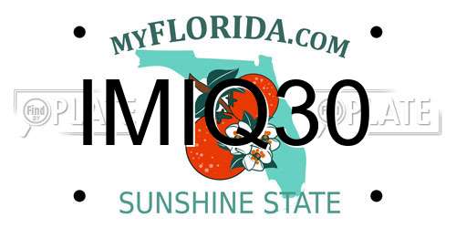 IMIQ30 Florida License Plate