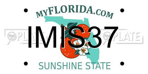 IMIS37 Florida License Plate
