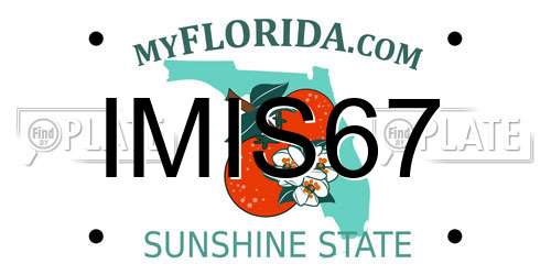 IMIS67 Florida License Plate