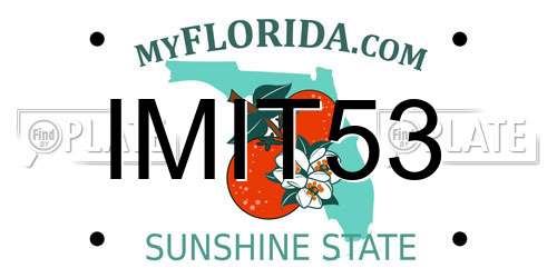 IMIT53 Florida License Plate