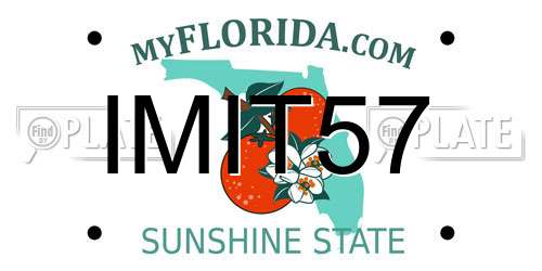 IMIT57 Florida License Plate