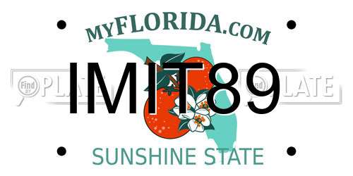 IMIT89 Florida License Plate