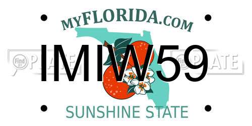 IMIW59 Florida License Plate