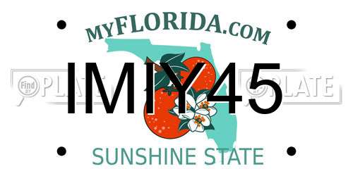 IMIY45 Florida License Plate