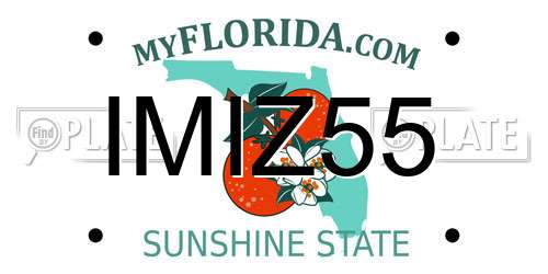 IMIZ55 Florida License Plate
