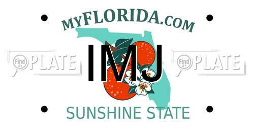 IMJ Florida License Plate