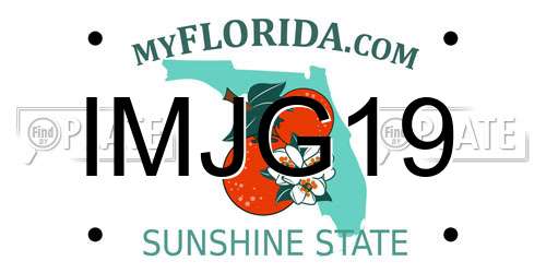 IMJG19 Florida License Plate
