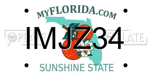 IMJZ34 Florida License Plate