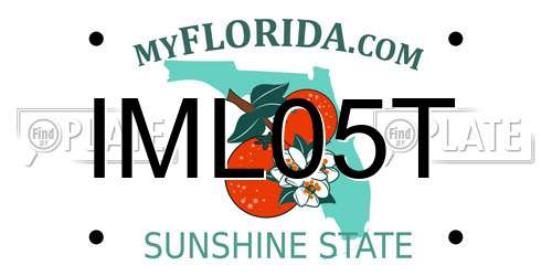 IML05T Florida License Plate