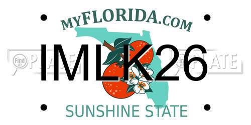 IMLK26 Florida License Plate
