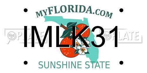 IMLK31 Florida License Plate