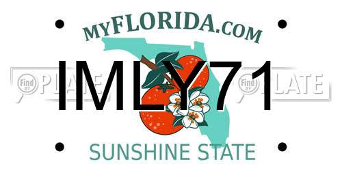 IMLY71 Florida License Plate