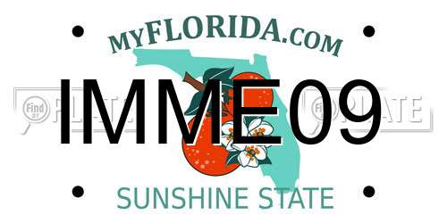 IMME09 Florida License Plate
