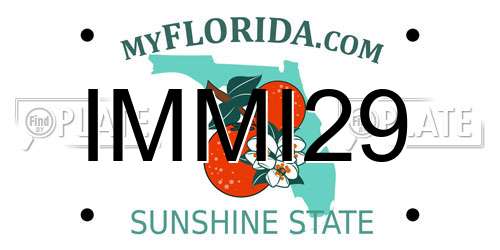 IMMI29 Florida License Plate