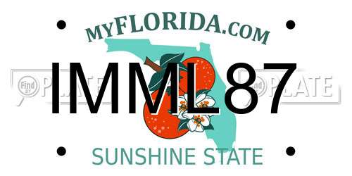 IMML87 Florida License Plate