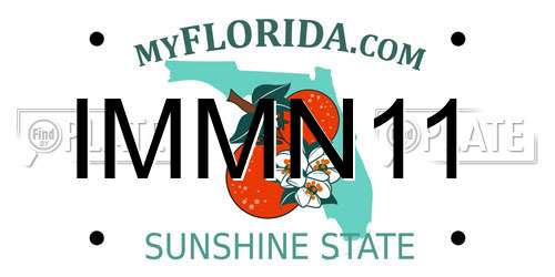 IMMN11 Florida License Plate