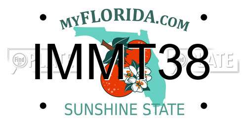 IMMT38 Florida License Plate