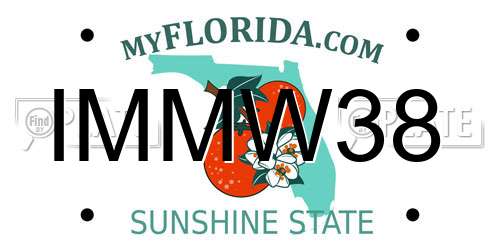 IMMW38 Florida License Plate