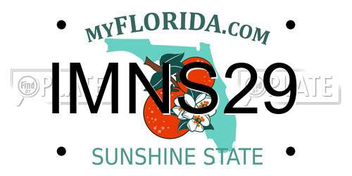 IMNS29 Florida License Plate