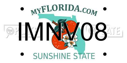 IMNV08 Florida License Plate