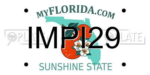 IMPI29 Florida License Plate