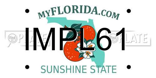 IMPL61 Florida License Plate