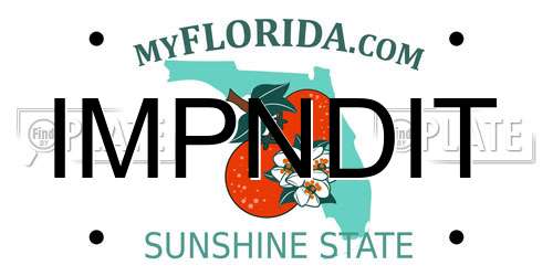 IMPNDIT Florida License Plate