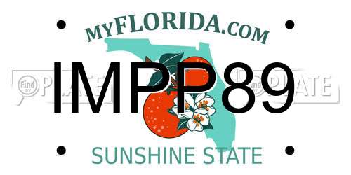 IMPP89 Florida License Plate
