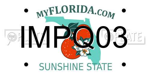 IMPQ03 Florida License Plate