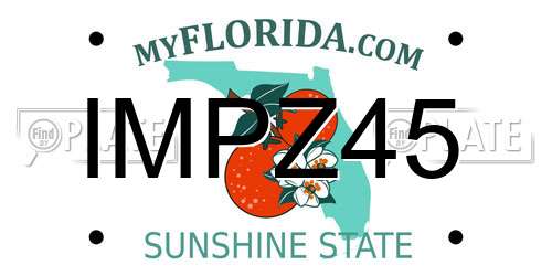 IMPZ45 Florida License Plate
