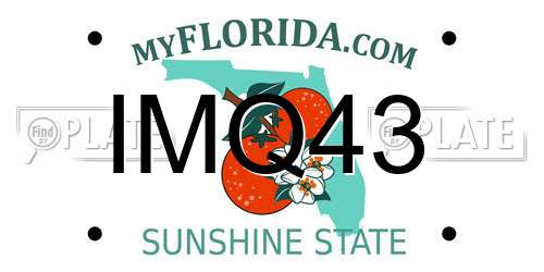 IMQ43 Florida License Plate