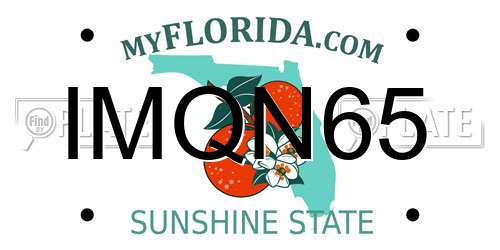 IMQN65 Florida License Plate