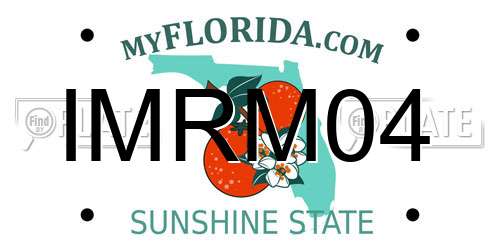IMRM04 Florida License Plate
