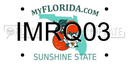 IMRQ03 Florida License Plate