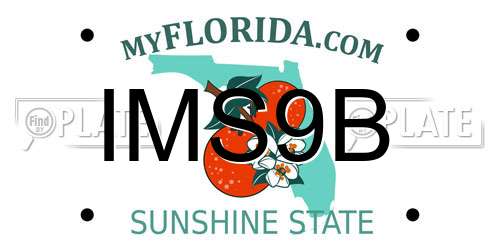 IMS9B Florida License Plate
