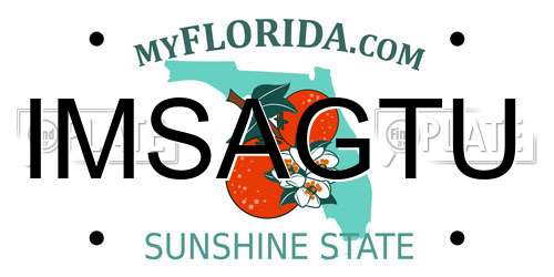 IMSAGTU Florida License Plate