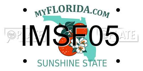IMSF05 Florida License Plate